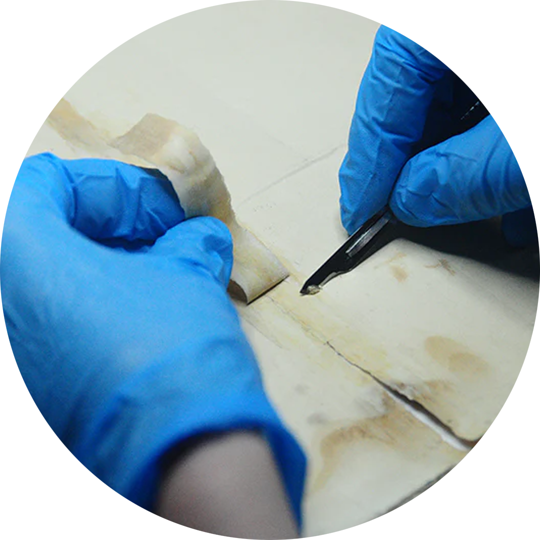 paper-restoration-thumb